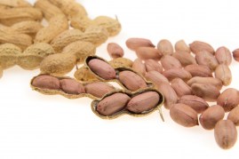 Groundnuts Category2